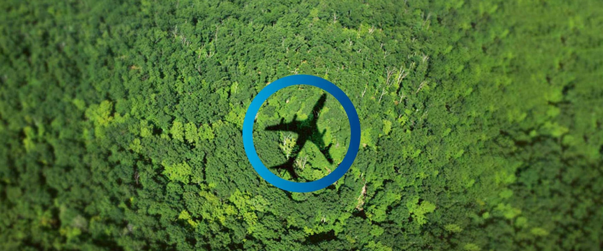 Den Unterschied zwischen On-Site- und Off-Site-Analysen verstehen
