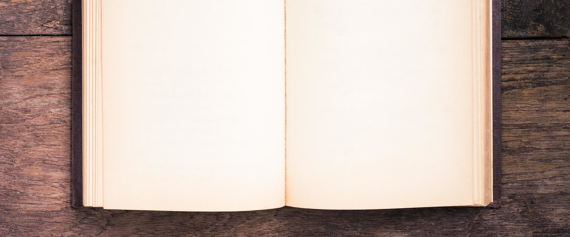 On-Page- oder Off-Page-SEO: Was ist wichtiger für das Ranking?